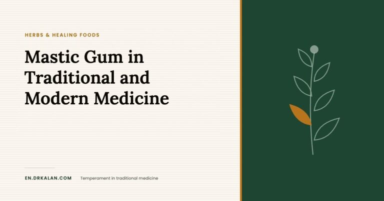 Mastic Gum in Traditional and Modern Medicine